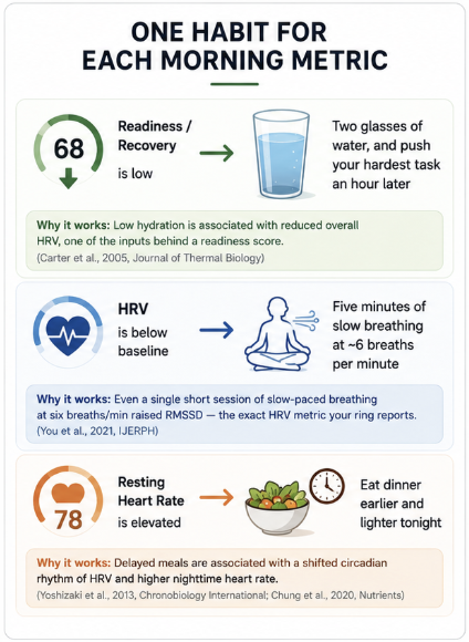One Habit for Each Morning Metric