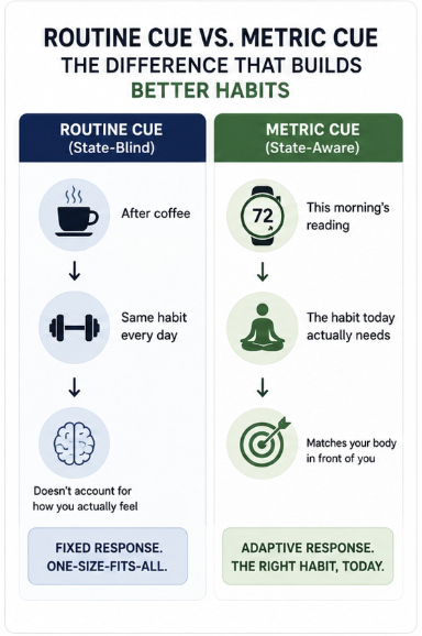 Routine Cue vs. Metric Cue