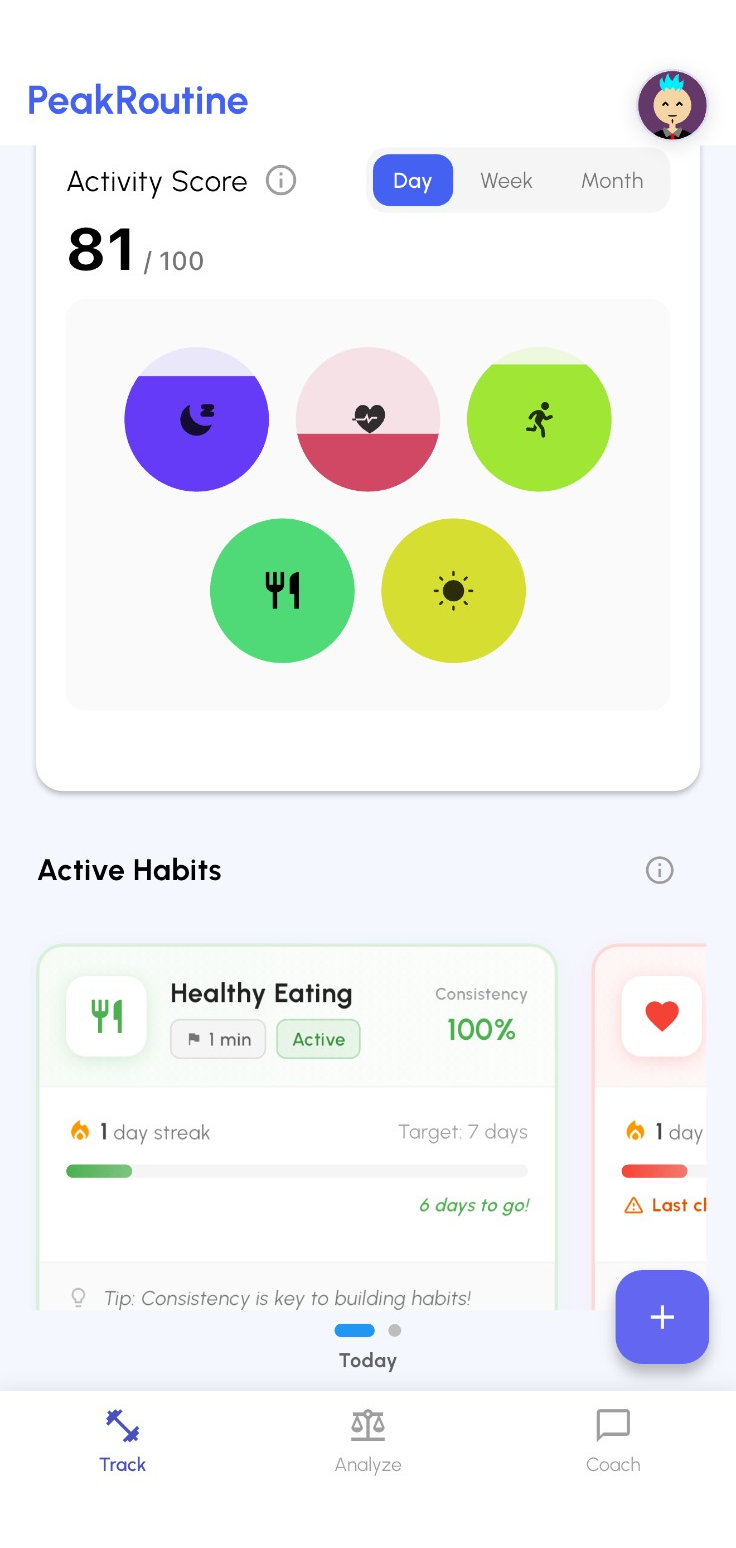 PeakRoutine dashboard preview